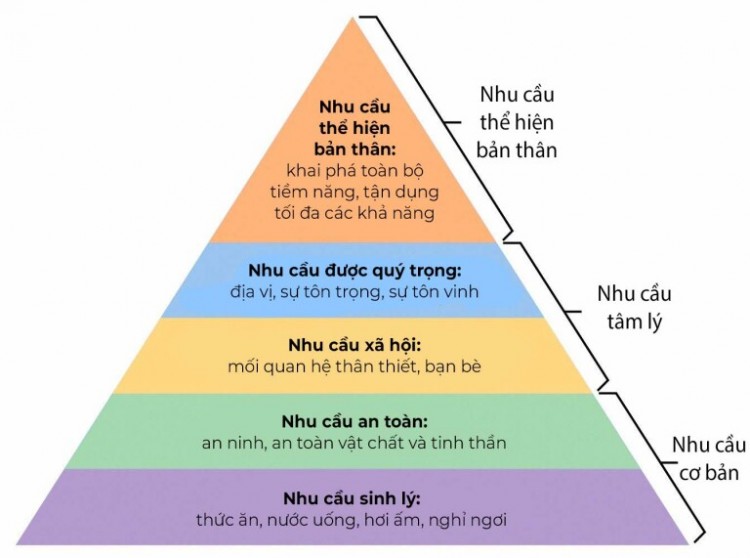 Tháp nhu cầu Maslow và ứng dụng trong quản trị nhân sự