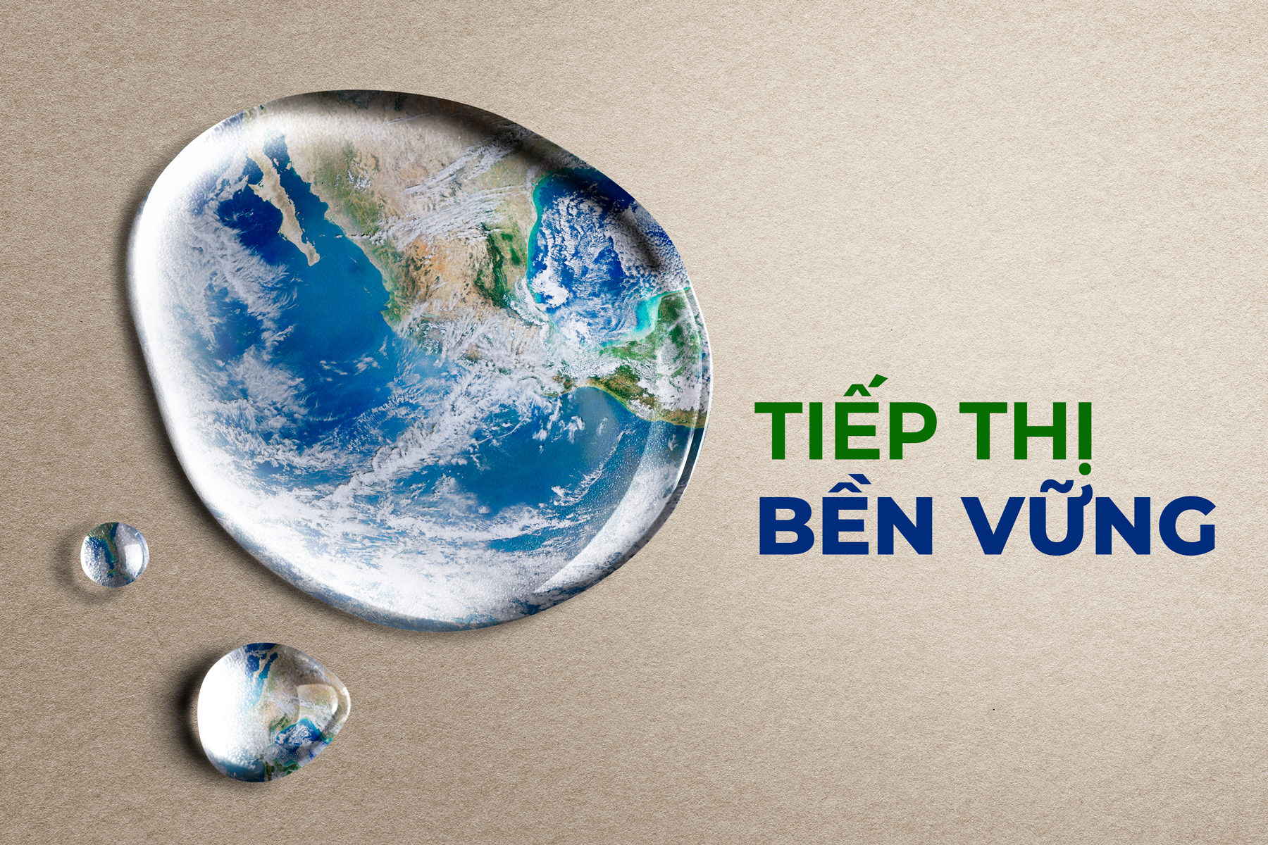 Tiếp thị bền vững là gì? – Sustainability marketing and design | OHHA DESIGN